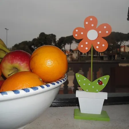 托卡公寓和客房旅馆